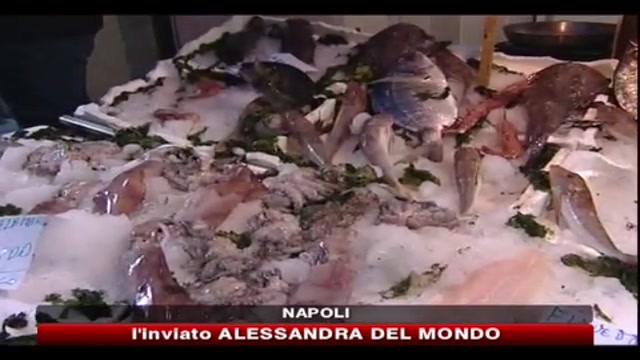 Import di prodotti ittici a Napoli, GDF scopre una truffa milionaria