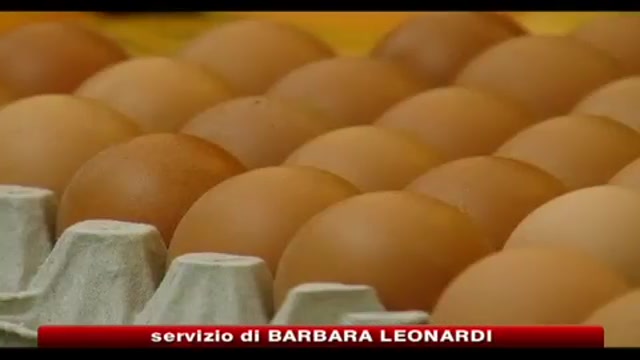 Diossina, Fazio: nessun pericolo per alimenti italiani