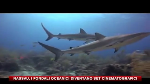 Nassau, i fondali oceanici diventano set cinematografici