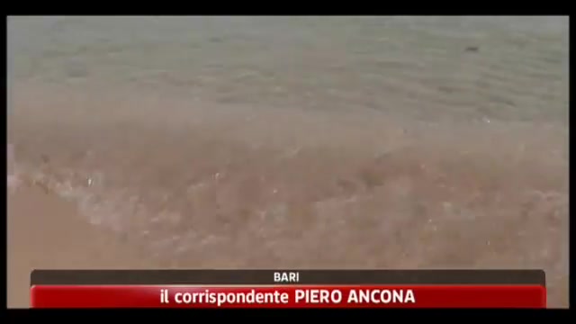 Spiagge ai privati, imprenditori e ambientalisti divisi in Puglia