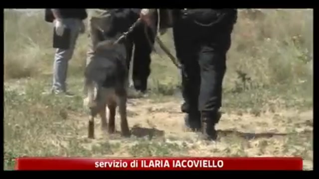 Fano, fermati i tre ragazzi accusati di aver violentato quindicenne