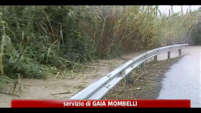 Liguria, cause disastro: piogge, incuria e cementificazione