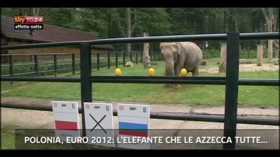 Lost & Found-Polonia, Euro 2012:elefante che indovina tutto