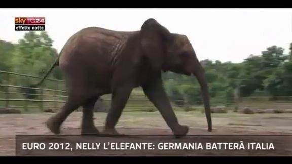 Lost & Found, Euro 2012, L'elefante:Germania batterà Italia