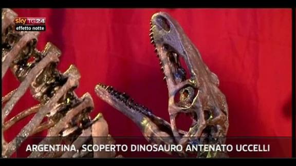 Lost & Found, Argentina: scoperto dinosauro antenato uccelli