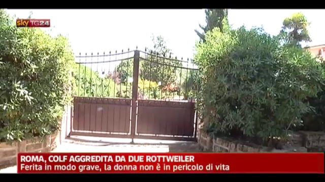 Roma, colf aggredita da due rottweiler