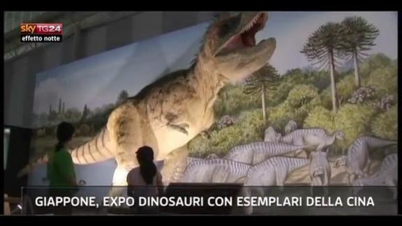 Lost & found - Giappone, expo dinosauri