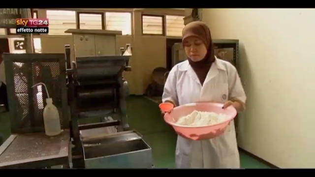Lost & found - Indonesia, produzione di riso artificiale