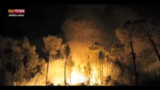 Effetto Notte-Spagna: incendio distrugge decine di ettari