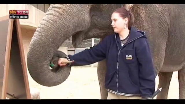 Lost & Found, Shanti: l'elefante artista dello zoo di Praga