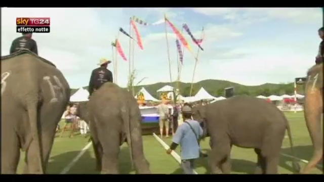 Lost & found, Thailandia: sfida di polo su elefanti