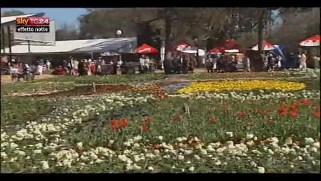 Lost & Found - Festival fiori celebra primavera australiana