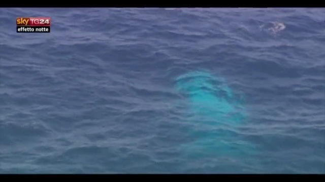 Lost & Found: Australia, la balena albina