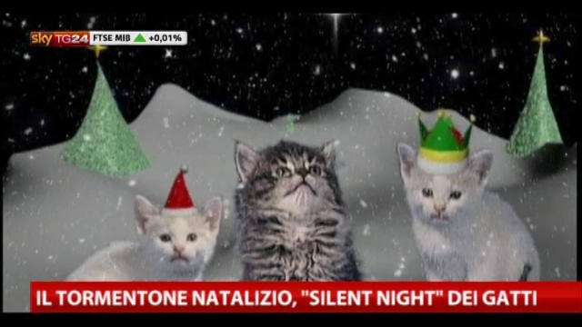 Il tormentone natalizio, "Silent night" dei gatti