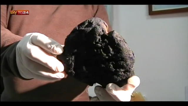 Meteorite ritorvato in un campo a Palermo