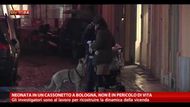 Neonata in un cassonetto a Bologna, non in pericolo di vita