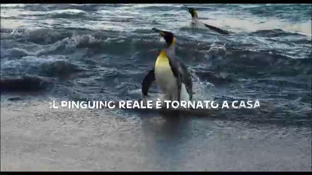 The Penguin King 3D