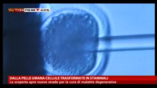 Dalla pelle umana cellule trasformate in staminali