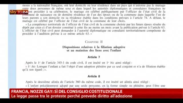 Francia, nozze gay: sì del Consiglio Costituzionale
