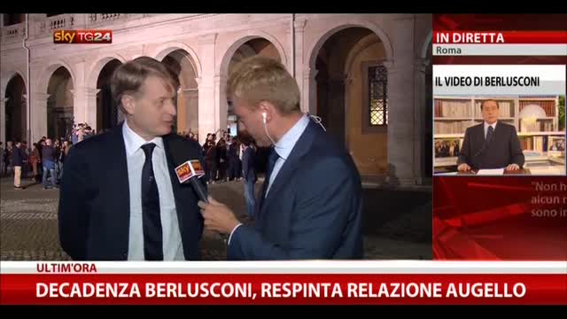 Decadenza Berlusconi, Malan a sky Tg24