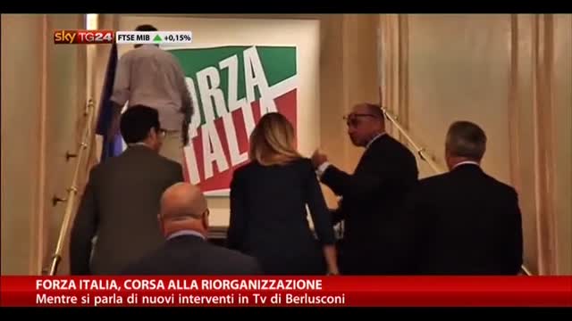 Forza Italia, corsa alla riorganizzazione