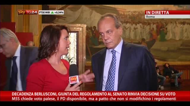 Decadenza Berlusconi, parla Nitto Palma