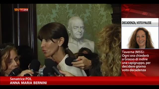 Voto palese, Bernini: si tratta di un precedente assoluto