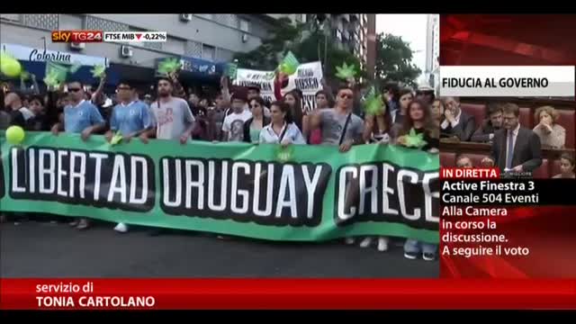 Uruguay: marijuana dallo stato