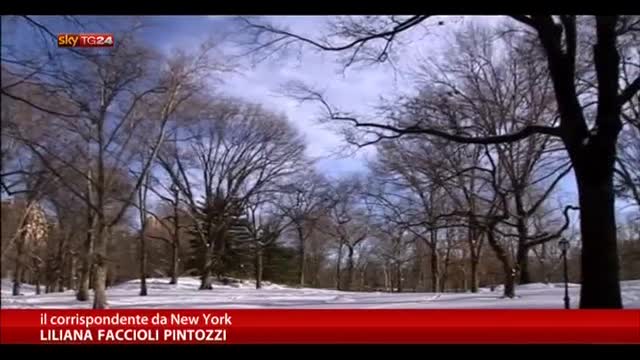 Usa, ondata di neve a New York:prime polemiche per De Blasio