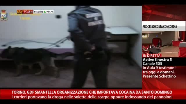 Torino, GDF smantella organizzazione che importava cocaina