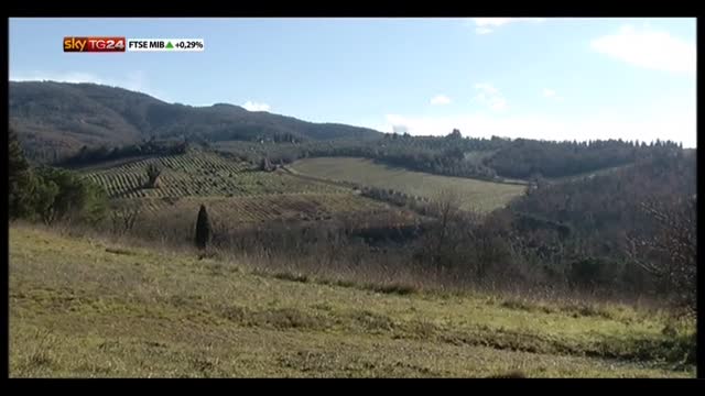 Toscana, boom di furti nel Chianti