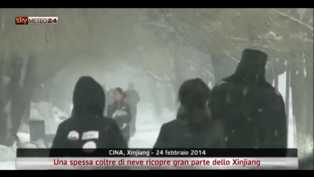 Una spessa coltre di neve ricopre lo Xinjiang. Video