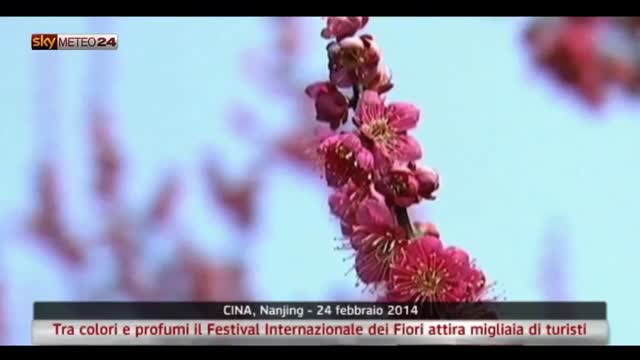 Cina,il Festival dei Fiori attira migliaia di turisti. Video