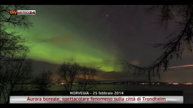 Norvegia, aurora boreale sulla città di Trondheim. Video