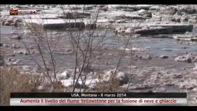Usa, Aumenta il livello del fiume Yellowstone
