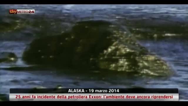 Alaska, 25 anni fa l’incidente petroliera Exxon