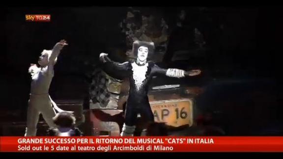 Grande successo per il ritorno del musical "Cats" in Italia