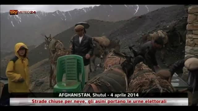 Neve in Afghanistan: gli asini portano le urne elettorali