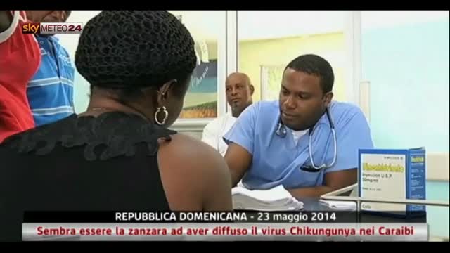Repubblica Domenicana, zanzara diffonde virus Chikungunya