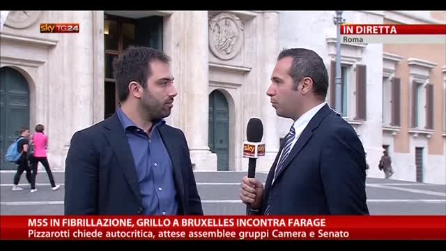 Grillo a Bruxelles incontra Farage, parla Brescia (M5S)