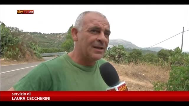 Sardegna, roghi devastano ettari di campi