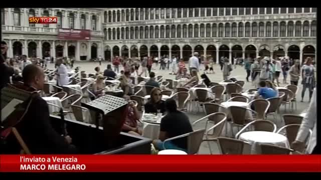 Venezia, i gabbiani reali invadono Piazza San Marco