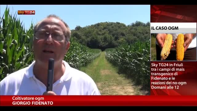 OGM, scontro tra agricoltori e attivsti nel Nord Italia