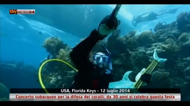 Usa, Florida: concerto subacqueo per la difesa dei coralli