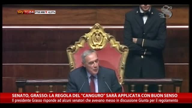 Senato, Grasso: regola "canguro" da applicare con buon senso