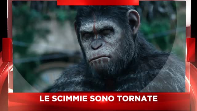 Sky Cine News presenta Apes Revolution