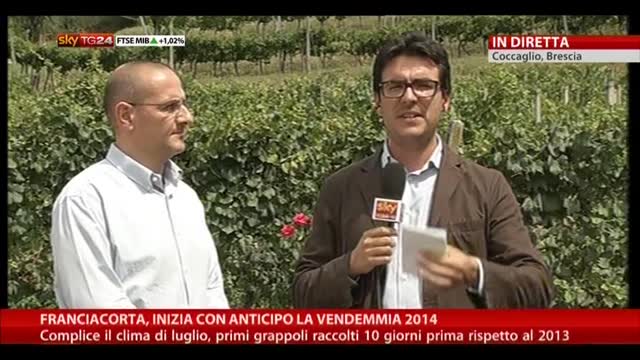 Vendemmia Franciacorta 2014, intervista a Fabio Bonaccorso