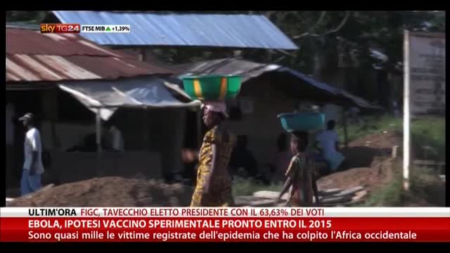 Ebola, ipotesi di vaccino sperimentale pronto entro il 2015
