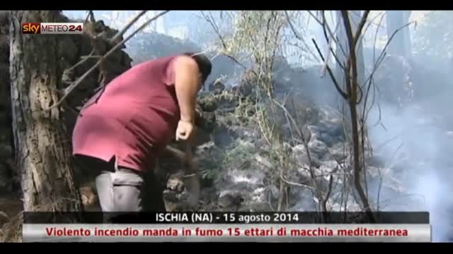Ischia, incendio brucia 15 ettari di macchia mediterranea