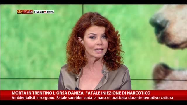 Morta in Trentino orsa Daniza, parla Ugo Rossi
